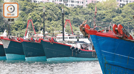 本港與內地簽署香港流動漁船合作安排，有助本港漁民及早掌握內地漁業政策。（資料圖片）