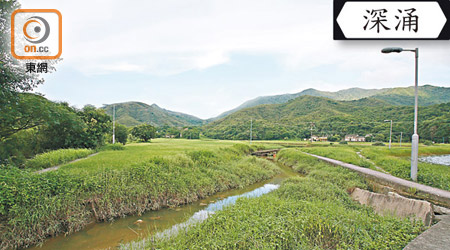 深涌以大片草地聞名，不少市民會前往該處郊遊。