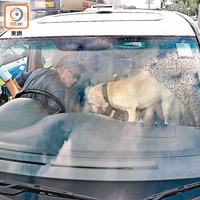 警犬登涉事七人車搜索。