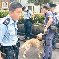 警方安排緝毒犬到場協助搜查車廂。