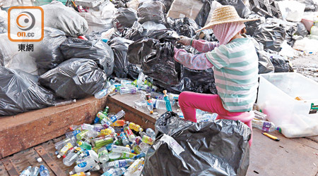 內地要求更乾淨的廢料入口，新限制令實施後，破碎廢膠一律拒收。