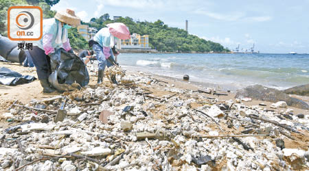 義工及清潔工人在泳灘清理硬脂油粒，收集量最終可能達二百噸。