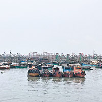陽江<br>受颱風影響，陽江漁船回港避風。（互聯網圖片）