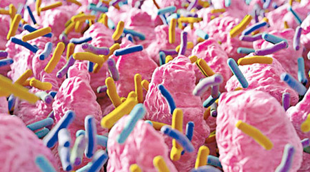 史丹福大學最新調查顯示，百分之九十九匿藏於人體的微生物從未被發現。（互聯網圖片）