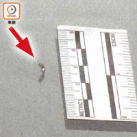 警車擋風玻璃有一個彈孔及長約一厘米裂痕（箭嘴示）。
