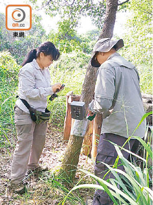 漁護署人員到位置較偏僻的山林內安裝攝影機。（漁護署提供）