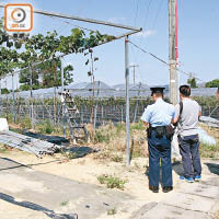 警員到葡萄園調查。（馮溢華攝）