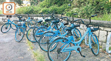 大埔區已被共享單車進駐，數十架單車出現在路邊泊位。（讀者提供）