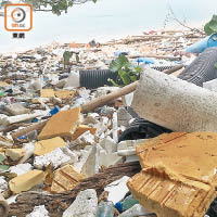 深井浪翠園對出海灘近日垃圾成災，更有喉管、卡板等體積較大的垃圾。