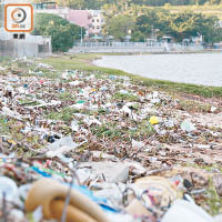 大埔沙欄海灘上遍布食物包裝、塑膠器皿和膠袋等，部分食物渣滓更傳出陣陣臭味。