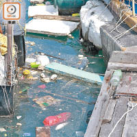 家居垃圾在香港仔田灣海傍道部分海面「隨波逐流」，亦有死魚載浮載沉。