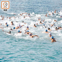 今年維港泳的路線較去年短，有參賽者約十五分鐘便游抵終點。