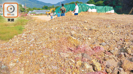 已交還農地仍可見含有大量石塊，難以耕種。（朱先儒攝）