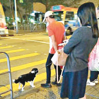 網民在旺角拍攝到偷狗賊拖着小狗。（互聯網圖片）