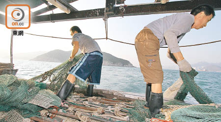 禁止拖網捕魚條例於一三年底生效，惟漁業基金三年後才開展首個項目。