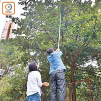 街坊自製長竹圖引「開心」落地。（余宏基攝）