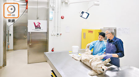 動物醫療檢驗中心設有全港首個商營動物屍體解剖室。（陳章存攝）