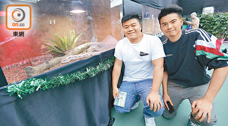 Garay（右）和James（左）負責餵飼和照料爬蟲館內的爬蟲，包括藍舌石龍子。