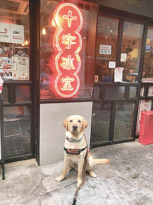 被指是導盲犬不獲餐廳接待後在門外休息。（互聯網圖片）