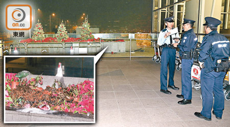 機場聖誕樹底下的大紅花亦遭焚毀，警方在現場調查。（梁國雄攝）