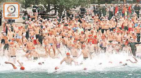 二千五百多名泳手參加元旦冬泳。（何天成攝）