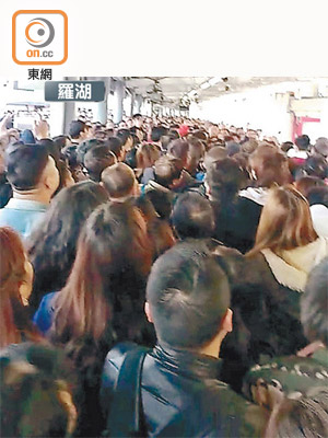羅湖站無列車疏散人潮，估計有近千乘客逼爆月台。（讀者朱先生提供）