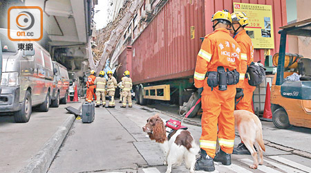 新蒲崗工廈巨幅棚架塌下，坍塌搜救專隊及搜索犬到場協助搜救。（林兆崙攝）