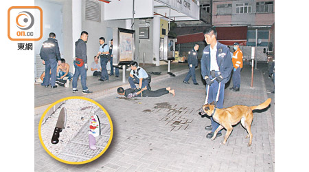 舞刀男被按地制服，警犬到場鎮壓。（葉嘉文攝）<br>圖圖為地上遺下兩把利刀。