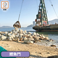 鯉魚門的防洪改善工程已展開，有大型躉船在海岸修建石築海堤。