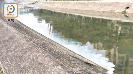 鍾小姐發現，林村河近錦和橋附近有不明白色液體排出污染河流。（讀者提供）