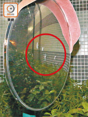 現場附近的一塊廣角反光鏡亦有疑被射擊造成的痕迹（紅圈示）。