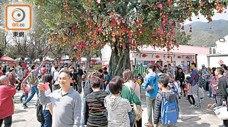 不少市民到林村許願樹拋寶牒，祈求新一年心想事成。