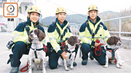 消防處現時共有三頭搜索犬，負責災難搜救。（何量鈞攝）