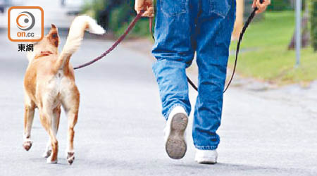 簡單的輕度運動例如帶狗到公園散步，有助長者更長壽。（資料圖片）