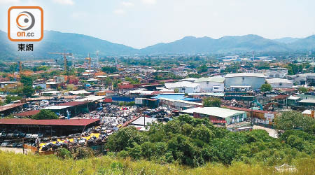 橫台山棕土現況。