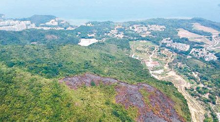 山火後可見大片焦土。（互聯網圖片）