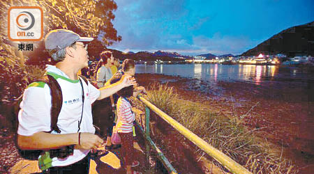 南丫島「黑夜尋寶」導賞團，導賞員與參加者尋找夜間活動的動物。（港燈提供）