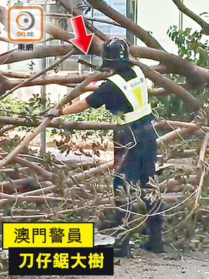 去年八月，有警員以手鋸（箭嘴示）嘗試鋸斷大樹的枝幹，惹來各方恥笑。