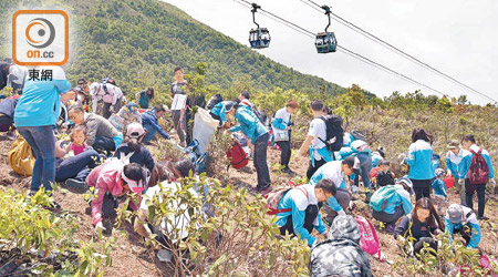 植樹活動昨於昂坪彌勒山舉行，種植一千棵本地原生品種樹苗。（受訪者提供）