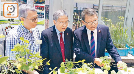 段崇智（右）視察農業生物技術國家重點實驗室（中大夥伴實驗室）的運作。（佘君儀攝）