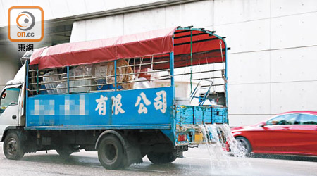 不少運魚車行駛時溢出大量海水，尾隨車輛隨時慘遭鹹水洗車。