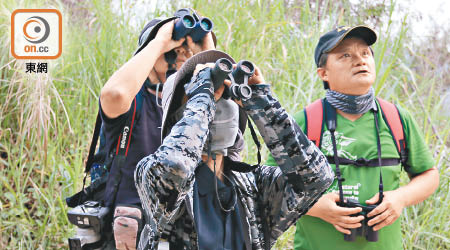 觀鳥隊伍需透過聲音及敏銳的觀察力辨別雀鳥種類及位置，記錄最多品種為勝出者。（受訪者提供）