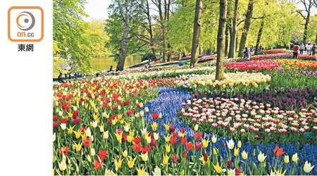 Kaleido Park將種植約八十種不同的花卉，主題花為荷蘭的鬱金香。（受訪者提供）
