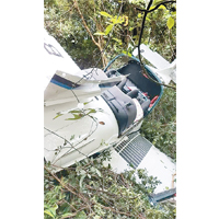 肇事飛機墜落馬屎洲叢林。（網民Lok Sui On Ringo圖片）