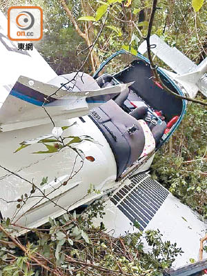 肇事小型飛機擱在樹叢中。
