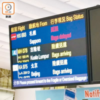 由札幌返港的香港航空航班HX693出現嚴重行李延誤。（讀者提供）