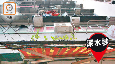 欽州街有唐樓的冷氣機不斷滴水，樓下地舖簷篷更長出植物。
