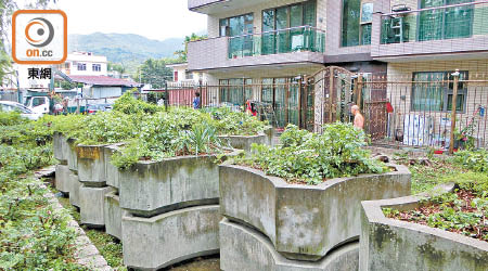 村口一處公園設有八個花槽，疑遭人吊起並疊在一起。