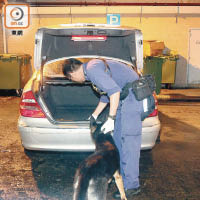 警員帶同警犬搜車。