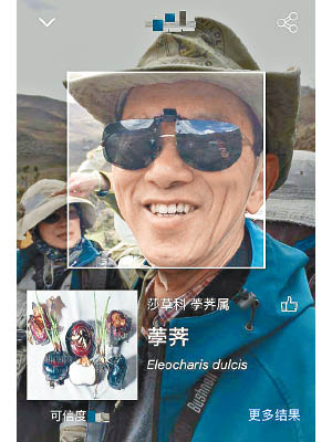 有人用林超英嘅頭像去問某植物辨認App，得出嘅結論係「荸薺」。（互聯網圖片）
